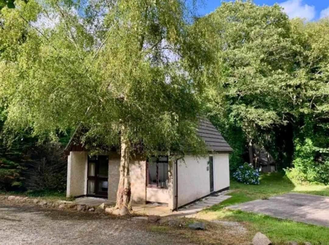 St Ives Bluebell Cottage Bagian luar foto